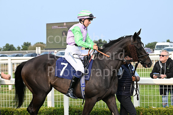 Gt_Yarm_19_Aug_Evening_Race-8