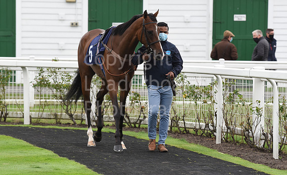 Gt_Yarmouth_Races_230Aug-31