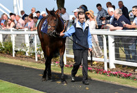Gt_Yarm_Eastern_Fest_Day_3-1