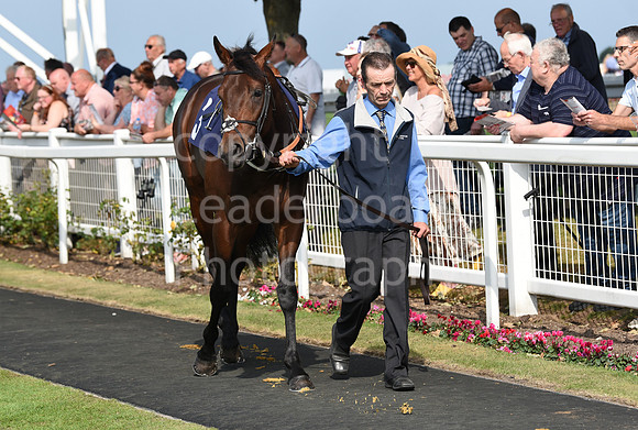 Gt_Yarm_Eastern_Fest_Day_3-1