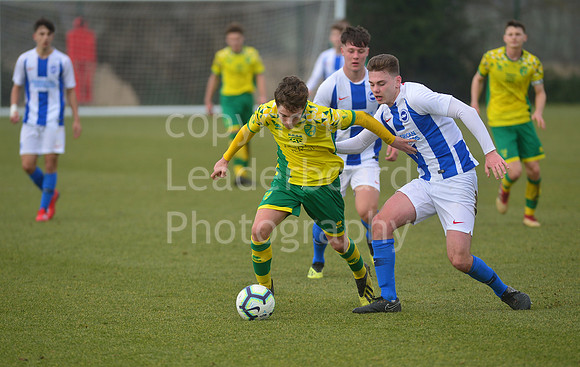 NB_045_NCFC_U18_Brighton