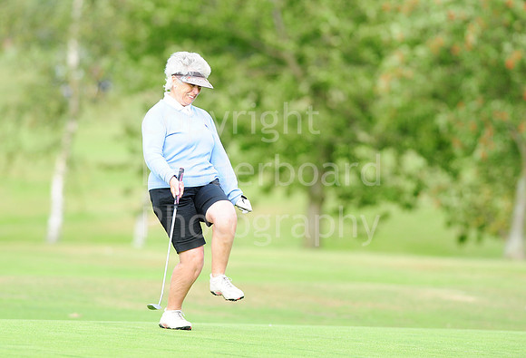 LB_84_Ping_Plate_Final_2011.jpg