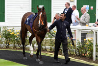 Yarm_Races_17July-20