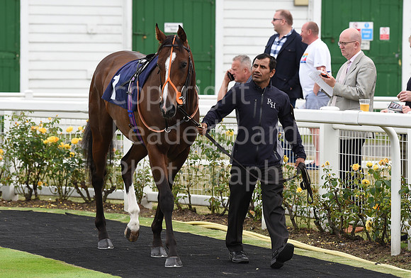 Yarm_Races_17July-20
