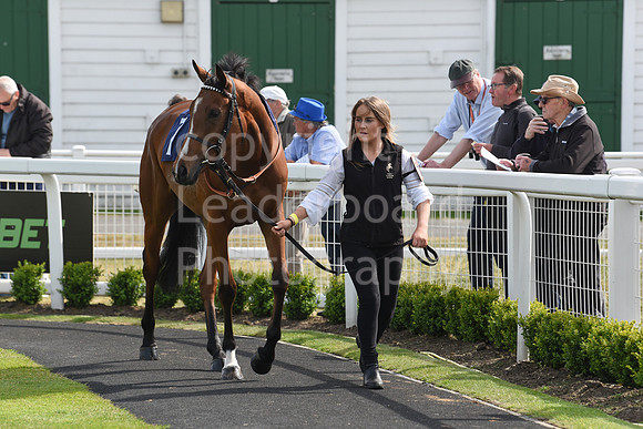 Gt_Yarm_18_May_2022-107