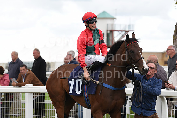 Gt_Yarm_15_Sept_2022-167