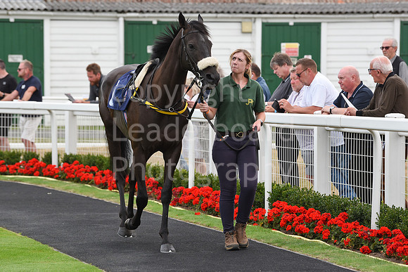 Gt_Yarm_3_Aug_2022-3