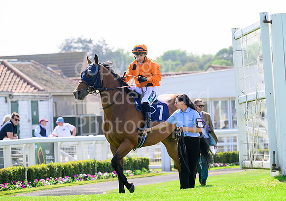 NZ9_3149