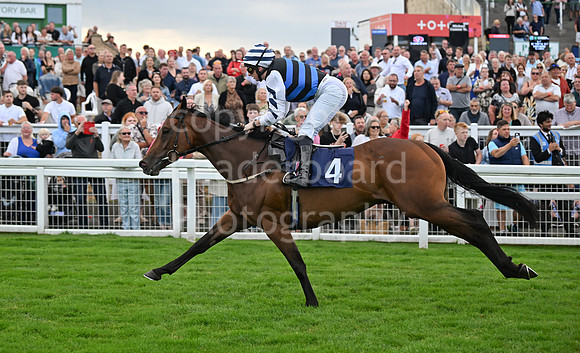 Gt_Yarm_24_Aug_2025-233