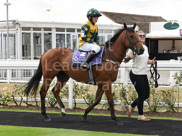 26_GY_8_Aug_Pony_Racing