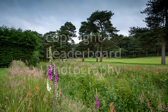 LBP_0271