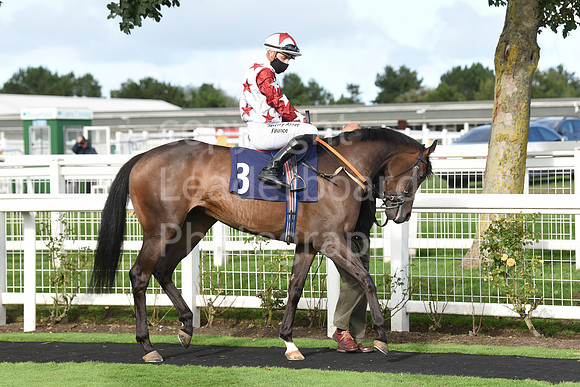 Gt_Yarmouth_Races_230Aug-154