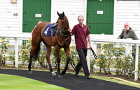 Yarm_Races_17July-4