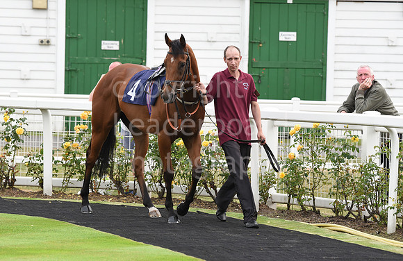 Yarm_Races_17July-4