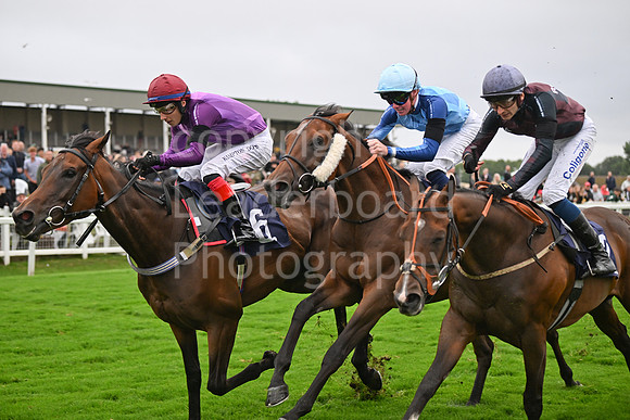 Gt_Yarm_Ladies Night_2025-107