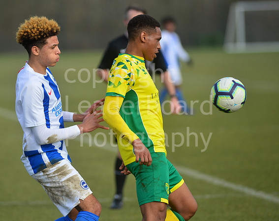 NB_099_NCFC_U18_Brighton