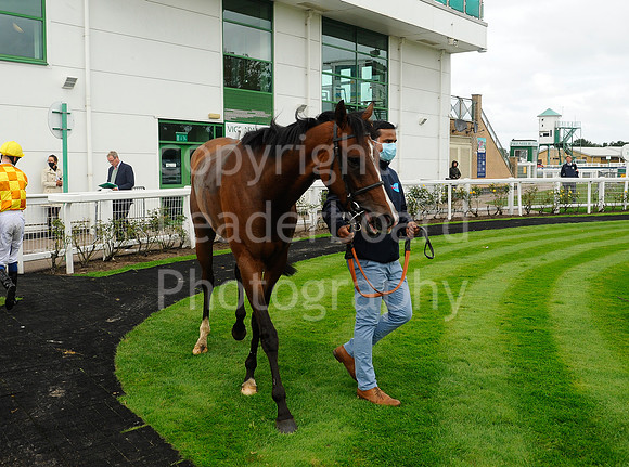 Gt_Yarmouth_Races_230Aug-202