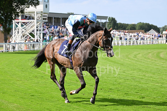Gt_Yarm_28_July_2025-160