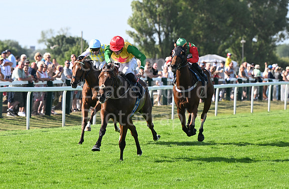 Gt_Yarm_Residents_Day_June_27-216