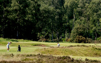LB_Brabazon_2017_2458