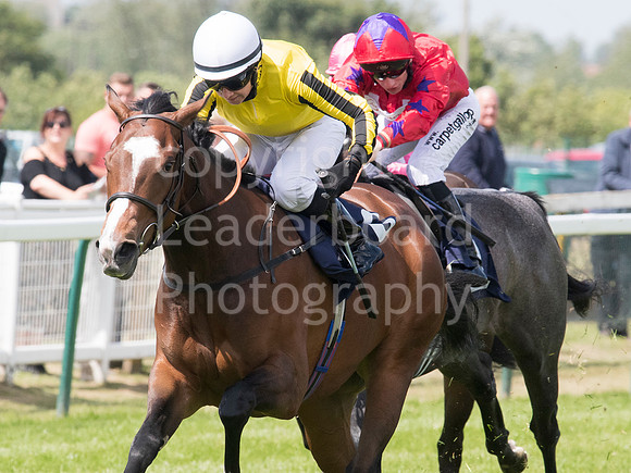LB_GYR_140618_0152