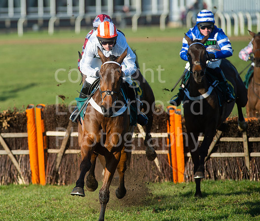 NB_028_Fakenham_Lycetts_Raceday