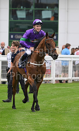 Gt_Yarm_19_Aug_Evening_Race-105