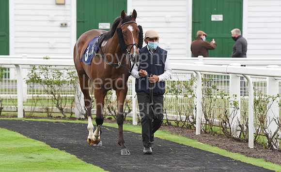 Gt_Yarmouth_Races_230Aug-29