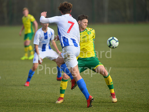 NB_029_NCFC_U18_Brighton