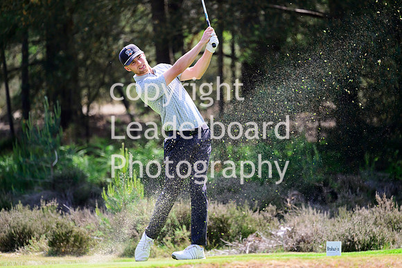 NZ9_5297