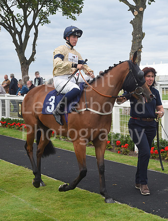 Gt_Yarm_06_July_2022-171