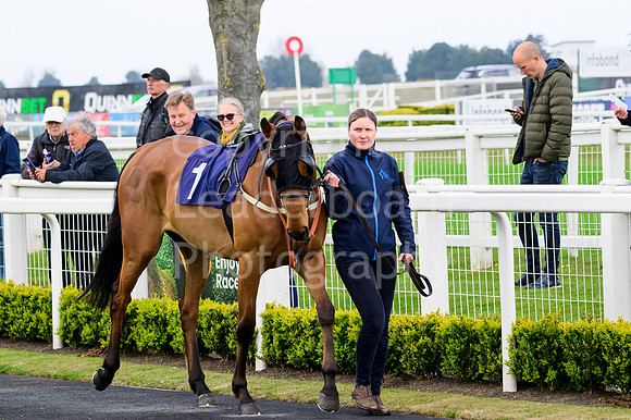 NZ9_3798