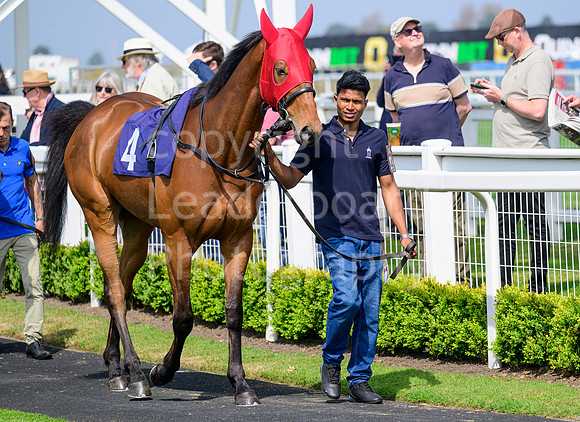 NZ9_5089