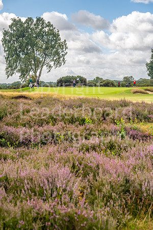 LBP_2025_Reid_Trophy_Fulford-162