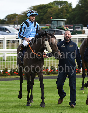 Gt_Yarm_Races_13_Sept8-43