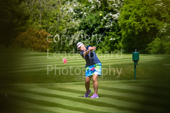 LBP_ESWAC_2022_High_Post-94