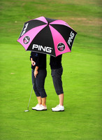 LB_87_Ping_Plate_Final_2011.jpg