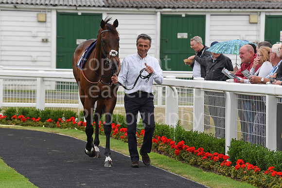 Gt_Yarm_30_June_2022-31