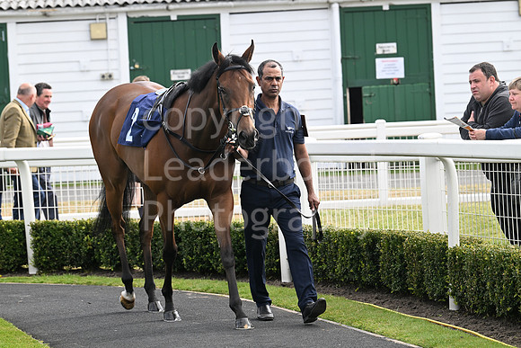 Gt_Yarm_May14_2025-187