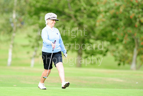 LB_85_Ping_Plate_Final_2011.jpg
