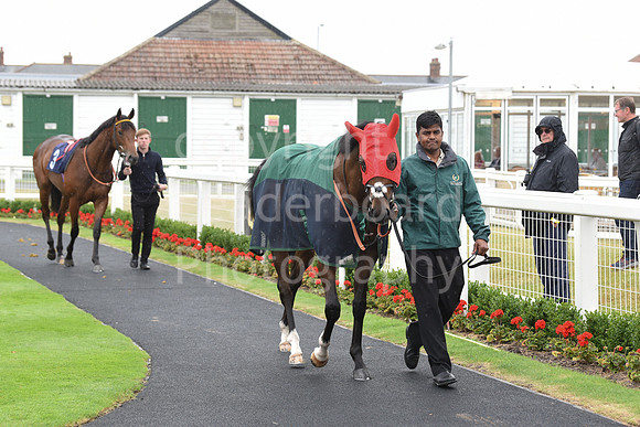 Gt_Yarm_30_June_2022-59