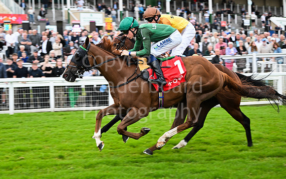 Gt_Yarm_July25_Racing_League_2024-272