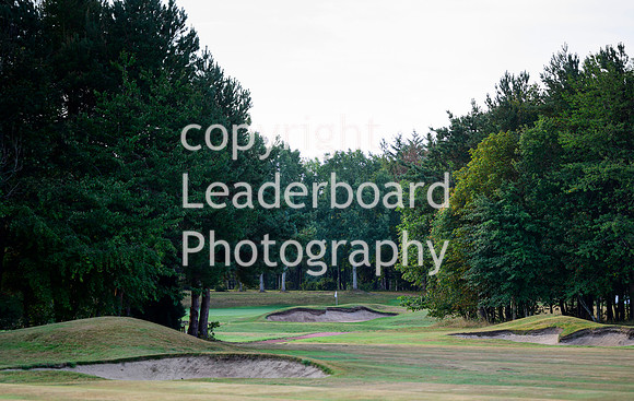 NZ9_6968