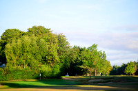 NZ9_6979