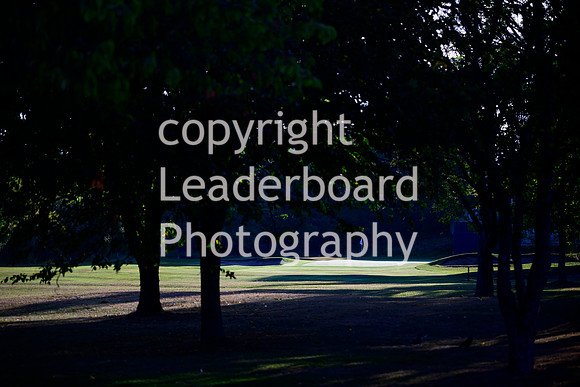 NZ9_7349