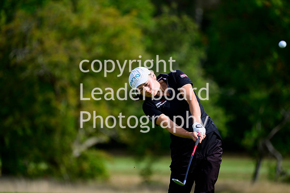 NZ9_3193