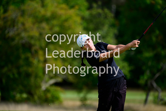 NZ9_3196