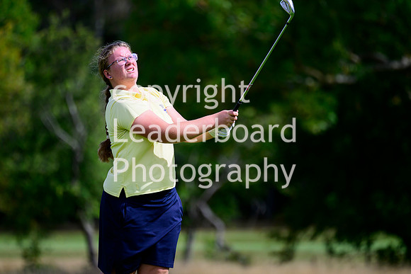 NZ9_3206