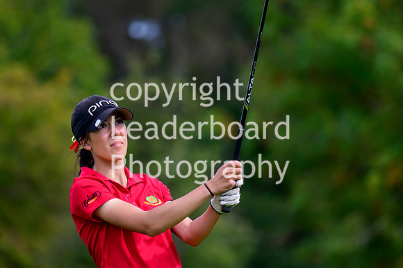 NZ9_3254