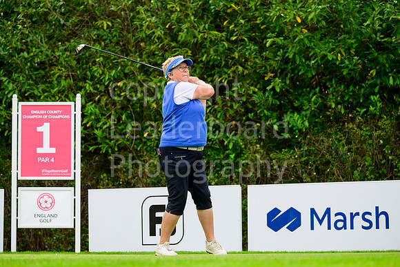 NZ9_2519